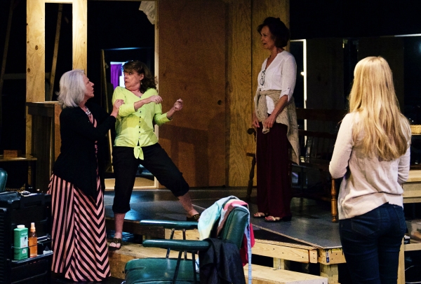 Photo Flash: First Look at TexARTS' STEEL MAGNOLIAS Image