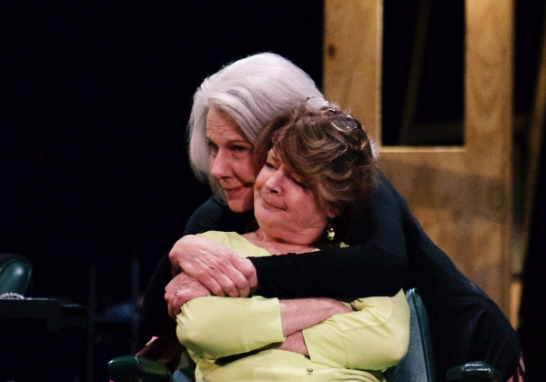 Photo Flash: First Look at TexARTS' STEEL MAGNOLIAS Image