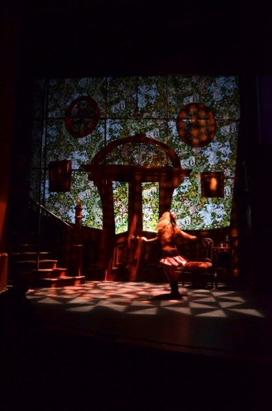 Photo Flash: First Look at THE NETHER, Opening Tonight at Centenary Stage Company Image