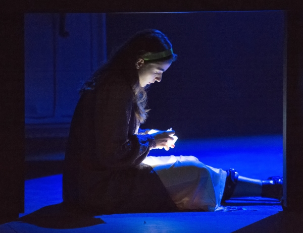 Photo Flash: First Look at THE GLASS MENAGERIE at the Nuffield Image