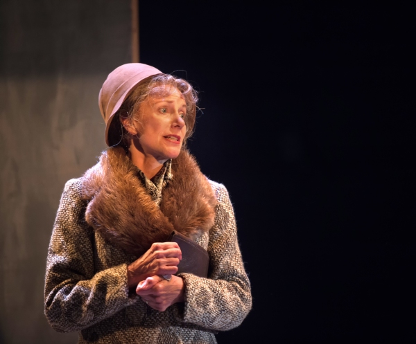 Photo Flash: First Look at THE GLASS MENAGERIE at the Nuffield Image