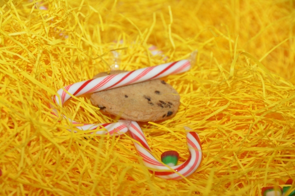 Photo Coverage: Dive Into The Holiday Season With ELF THE MUSICAL! Image