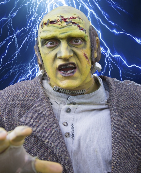 Photo Flash: Atlanta Lyric Theatre's YOUNG FRANKENSTEIN Image