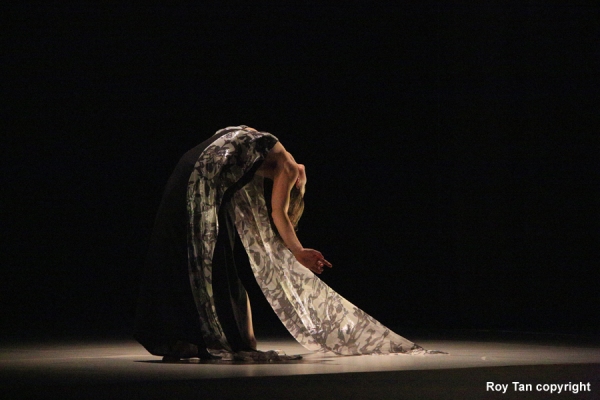 Photo Flash: First Look at Sadler's Well's HUSSEIN CHALAYAN Image