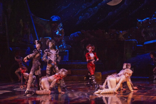 Photo Flash: CATS Continues at the Capitol Theatre Image