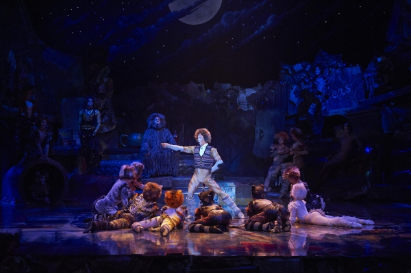Photo Flash: CATS Continues at the Capitol Theatre Image