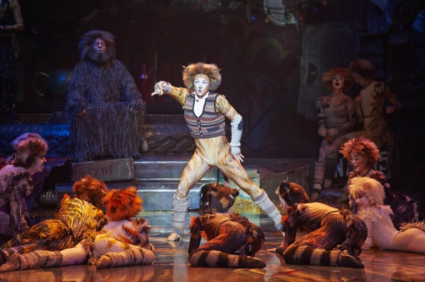 Photo Flash: CATS Continues at the Capitol Theatre Image