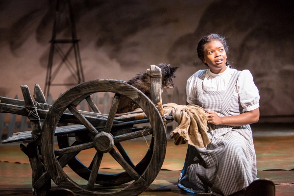 Photo Flash: First Look at THE WIZARD OF OZ at Children's Theatre Company Image