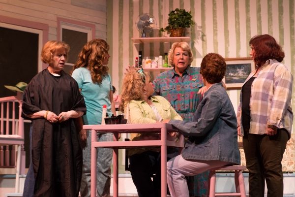 Photo Coverage: First look at Hilliard Art's Council's STEEL MAGNOLIAS Image
