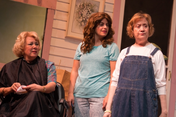 Photo Coverage: First look at Hilliard Art's Council's STEEL MAGNOLIAS Image