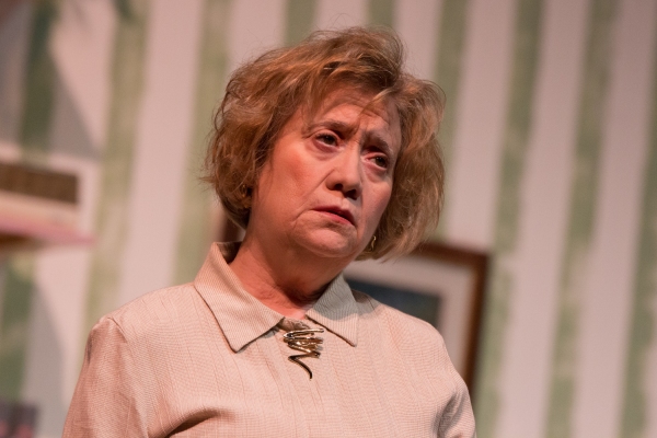 Photo Coverage: First look at Hilliard Art's Council's STEEL MAGNOLIAS Image
