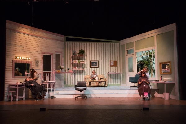Photo Coverage: First look at Hilliard Art's Council's STEEL MAGNOLIAS Image