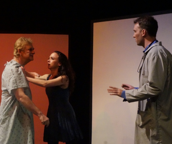 Photo Flash: ShPIeL's World Premiere of the Israeli Political Satire ANGINA PECTORIS Image