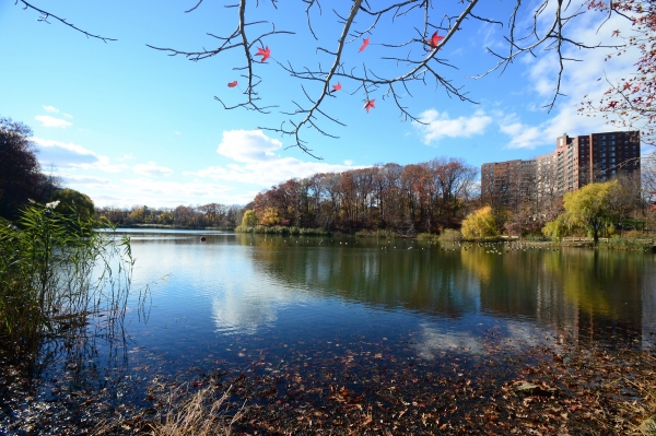 Photo Flash: NYC Parks Celebrates New Pathways, Better Water Quality at Bayside's Oakland Lake 