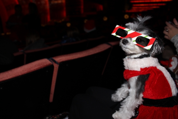 Photo Flash: Tinkerbelle the Dog Visits RADIO CITY CHRISTMAS SPECTACULAR & ROCKETTES 