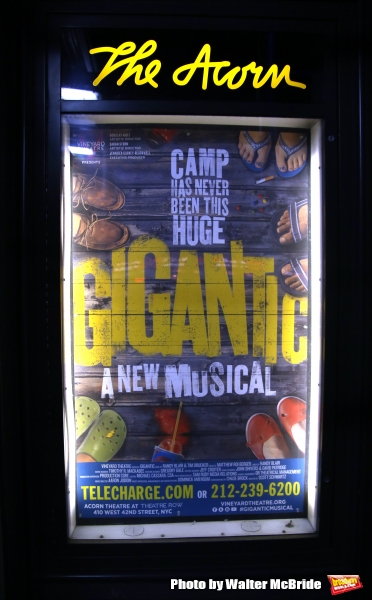 Photo Coverage: Vineyard Theatre's GIGANTIC Takes Opening Night Bows! Image