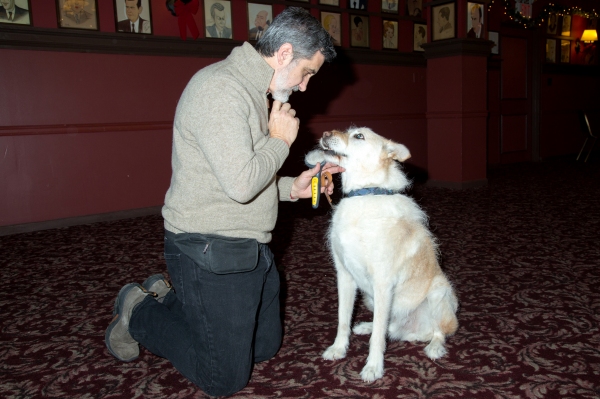Photo Coverage: Leapin' Lizards! ANNIE Preps for NYC Return at the Kings Theatre Photo Coverage: Leapin' Lizards! ANNIE Preps for NYC Return at the Kings Theatre Image