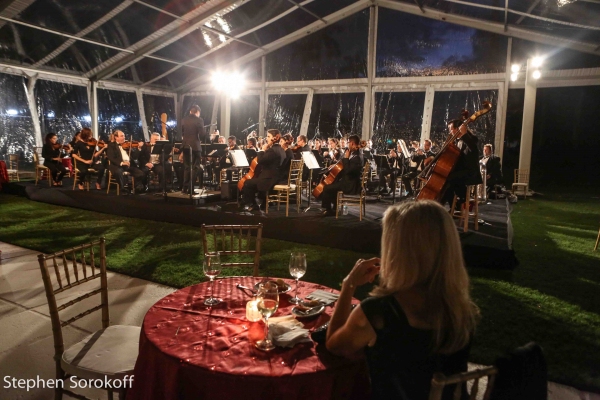 Photo Coverage: Howie Mandel Stars in American Humane Associations LADY IN RED Gala Image