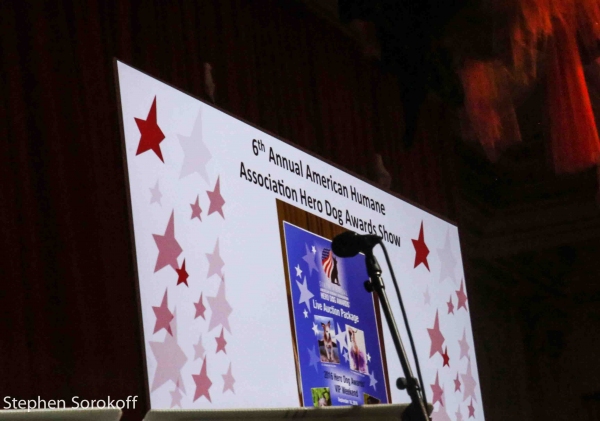 Photo Coverage: Howie Mandel Stars in American Humane Associations LADY IN RED Gala Image