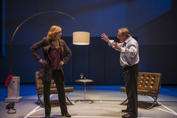 Photo Flash: First Look at Steppenwolf's Chicago Premiere of DOMESTICATED Image