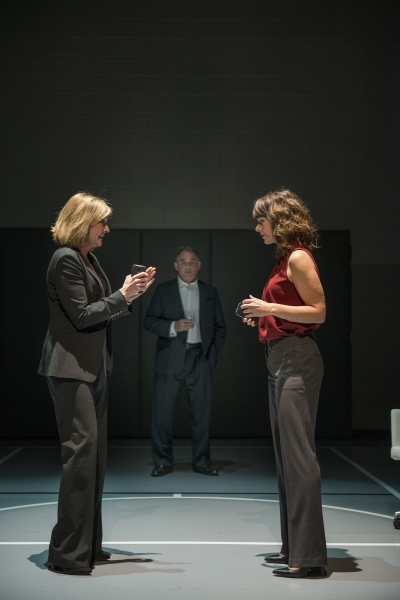 Photo Flash: First Look at Steppenwolf's Chicago Premiere of DOMESTICATED Image