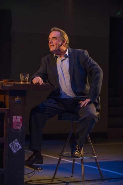Photo Flash: First Look at Steppenwolf's Chicago Premiere of DOMESTICATED 