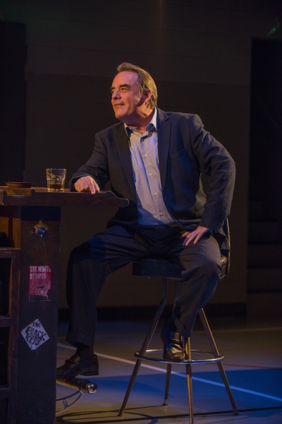 Photo Flash: First Look at Steppenwolf's Chicago Premiere of DOMESTICATED Image