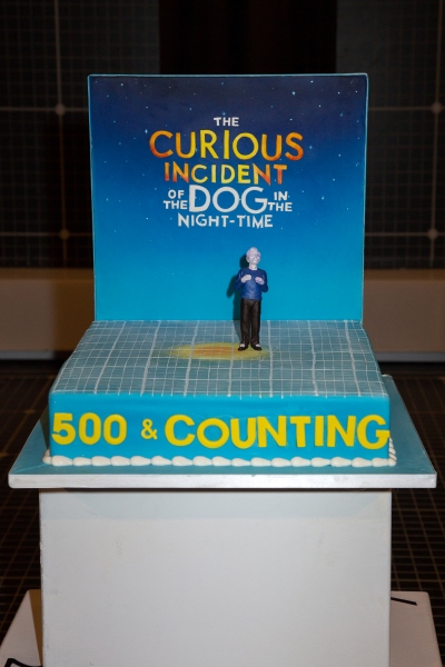 Photo Coverage: THE CURIOUS INCIDENT OF THE DOG IN THE NIGHT-TIME Celebrates 500 Performances! 