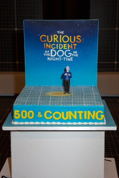 Photo Coverage: THE CURIOUS INCIDENT OF THE DOG IN THE NIGHT-TIME Celebrates 500 Performances! Image
