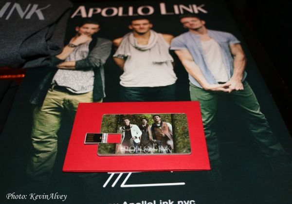 Photo Flash: Apollo Link Brings Holiday Cheer to Birdland Image