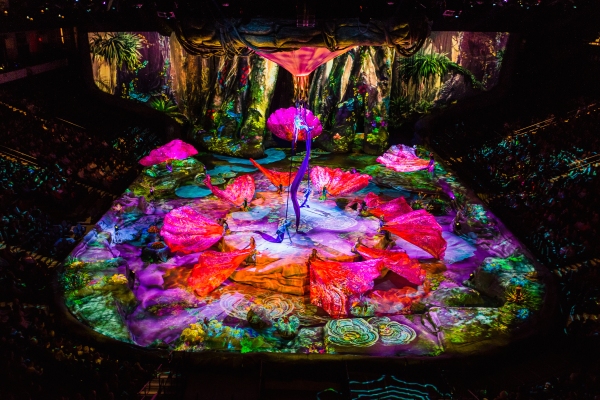 Photo Flash: First Look at Cirque du Soleil's New AVATAR-Inspired Show TORUK Image