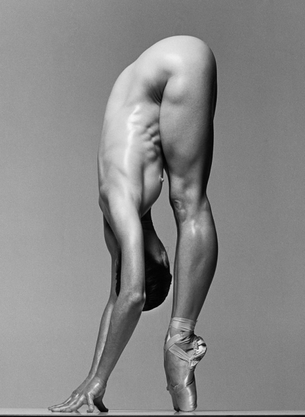 Photo Flash: Photographer Howard Schatz Captures the Exquisite Bodies of Dancers Image