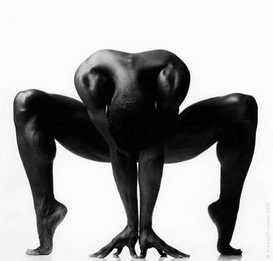 Photo Flash: Photographer Howard Schatz Captures the Exquisite Bodies of Dancers Image