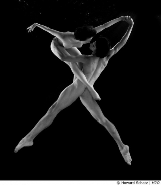 Photo Flash: Photographer Howard Schatz Captures the Exquisite Bodies of Dancers 
