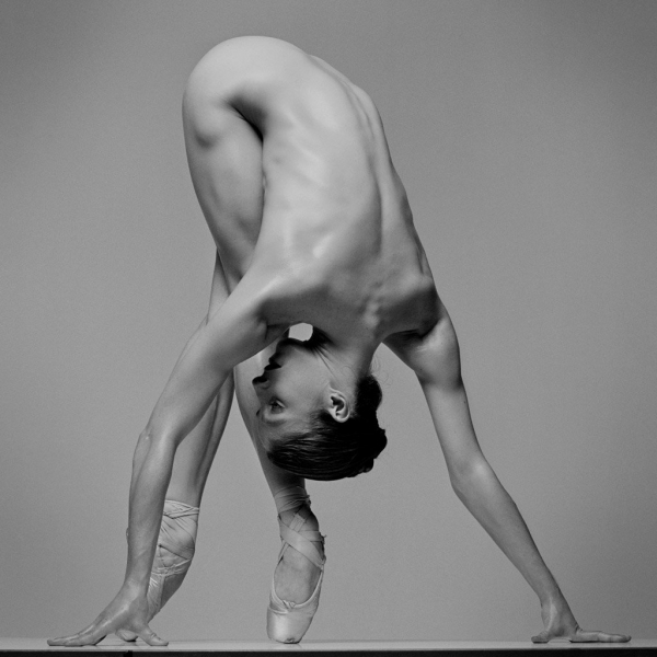 Photo Flash: Photographer Howard Schatz Captures the Exquisite Bodies of Dancers Image