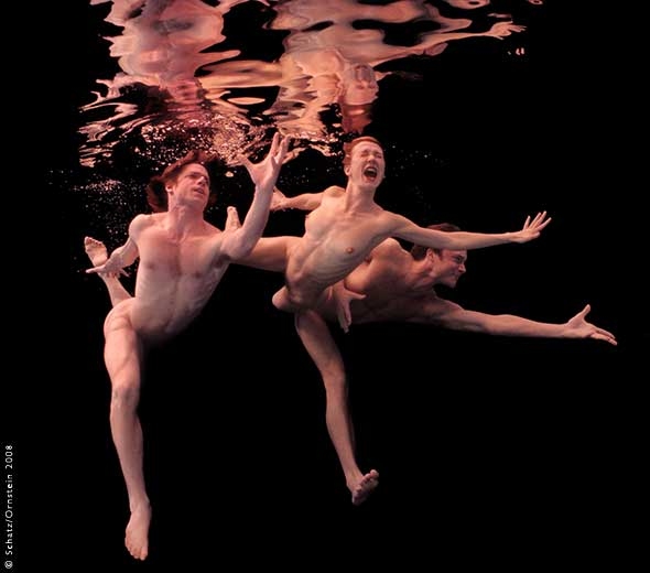 Photo Flash: Photographer Howard Schatz Captures the Exquisite Bodies of Dancers Image
