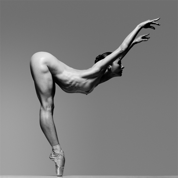 Photo Flash: Photographer Howard Schatz Captures the Exquisite Bodies of Dancers Image