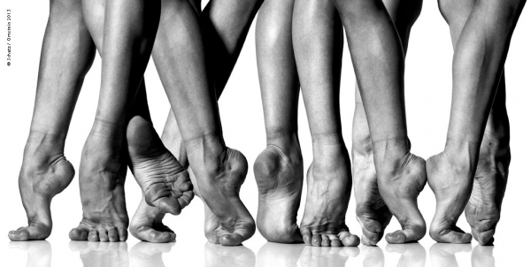 Photo Flash: Photographer Howard Schatz Captures the Exquisite Bodies of Dancers 
