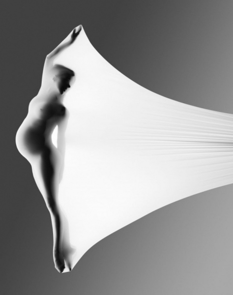 Photo Flash: Photographer Howard Schatz Captures the Exquisite Bodies of Dancers Image