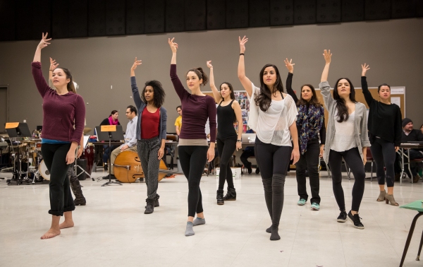 Photo Flash: In Rehearsal for ANOTHER WORD FOR BEAUTY at The Goodman Theatre Image
