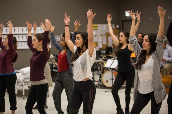 Photo Flash: In Rehearsal for ANOTHER WORD FOR BEAUTY at The Goodman Theatre Image
