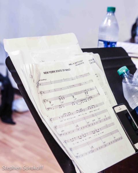 Photo Coverage: Will & Anthony Nunziata Rehearse for Highline Ballroom Show Image