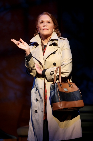 Photo Flash: First Look at Linda Lavin, Kate Arrington & More in MTC's OUR MOTHER'S BRIEF AFFAIR Image