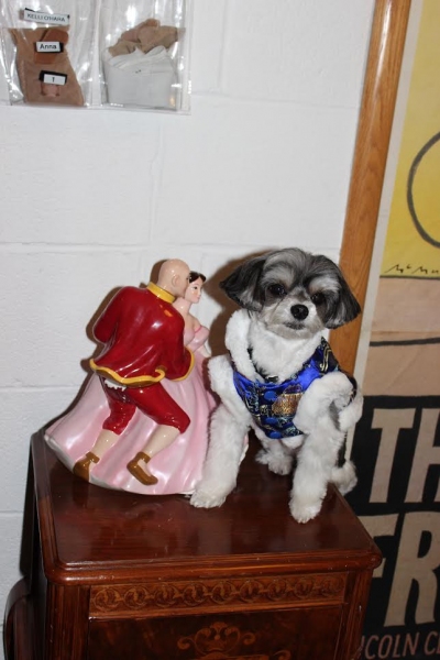 Photo Flash: Tinkerbelle the Dog Visits Hoon Lee and More at THE KING AND I Image