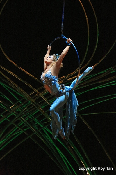 Photo Flash Exclusive: First Look at Cirque du Soleil's AMALUNA at Royal Albert Hall 