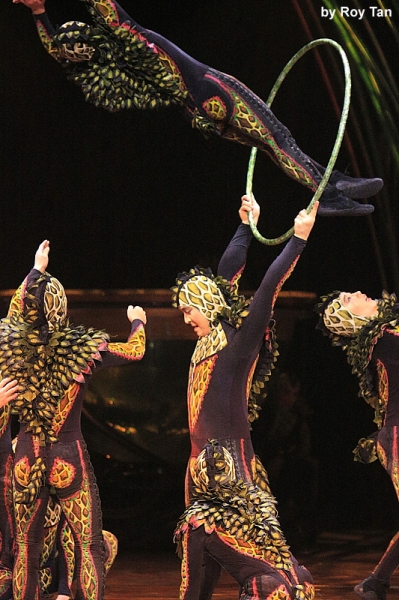 Photo Flash Exclusive: First Look at Cirque du Soleil's AMALUNA at Royal Albert Hall 