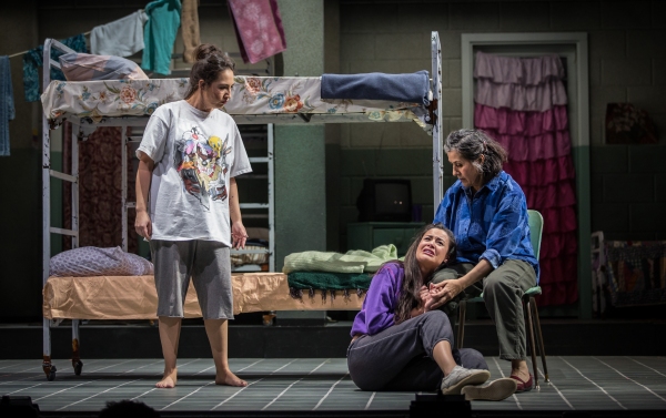 Photo Flash: First Look at Jose Rivera's ANOTHER WORD FOR BEAUTY at Goodman Theatre Image