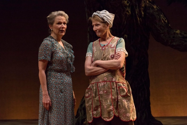 Photo Flash: First Look at Ryan Artzberger, Paula Hopkins, Tim Grimm & More in Indiana Repertory Theatre's TO KILL A MOCKINGBIRD Image