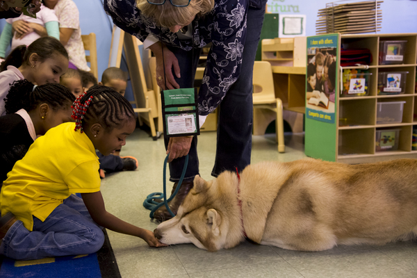Photo Flash: WKC Dog, Stoli Siberian Husky Ringo, Visits Kids at Homeless Shelter 
