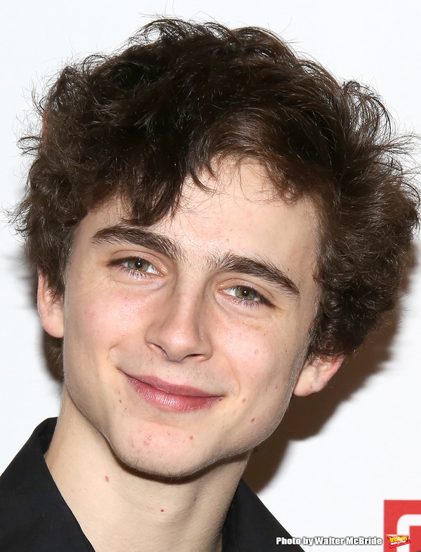 Photo Coverage: Robert Sean Leonard, Timothee Chalamet & More Celebrate Opening Night of MTC's PRODIGAL SON Image